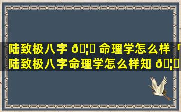 陆致极八字 🦈 命理学怎么样「陆致极八字命理学怎么样知 🦈 乎」